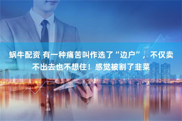 蜗牛配资 有一种痛苦叫作选了“边户”，不仅卖不出去也不想住！感觉被割了韭菜