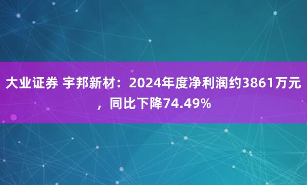 大业证券 宇邦新材：2024年度净利润约3861万元，同比下降74.49%