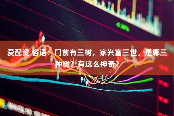 爱配资 俗语：门前有三树，家兴富三世，是哪三种树？有这么神奇？