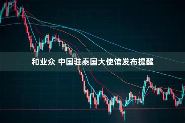 和业众 中国驻泰国大使馆发布提醒