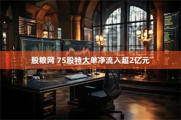 股粮网 75股特大单净流入超2亿元
