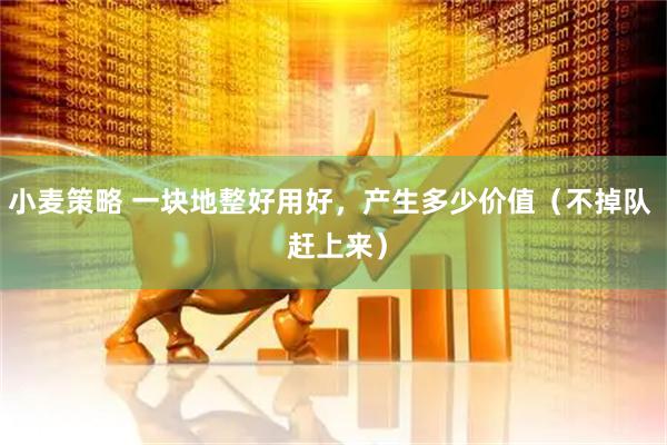 小麦策略 一块地整好用好，产生多少价值（不掉队  赶上来）