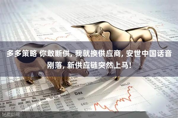 多多策略 你敢断供, 我就换供应商, 安世中国话音刚落, 新供应链突然上马!