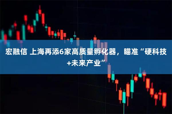 宏融信 上海再添6家高质量孵化器，瞄准“硬科技+未来产业”