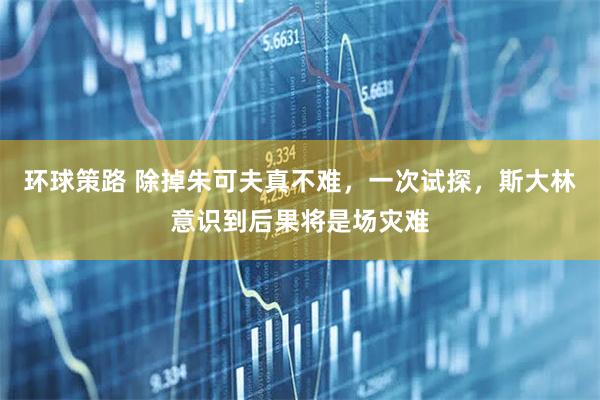 环球策路 除掉朱可夫真不难，一次试探，斯大林意识到后果将是场灾难