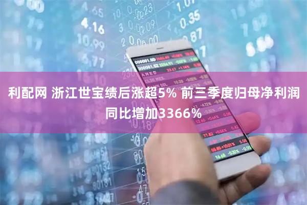 利配网 浙江世宝绩后涨超5% 前三季度归母净利润同比增加3366%