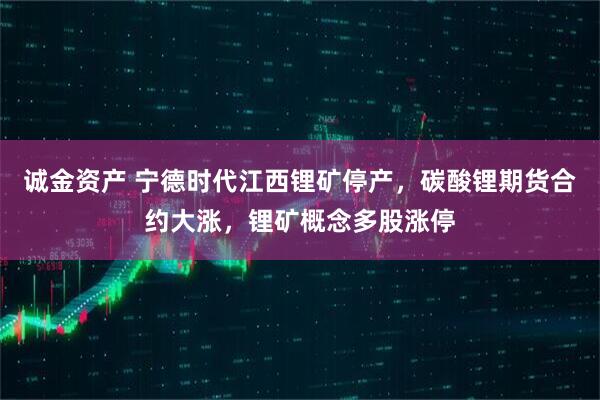 诚金资产 宁德时代江西锂矿停产，碳酸锂期货合约大涨，锂矿概念多股涨停