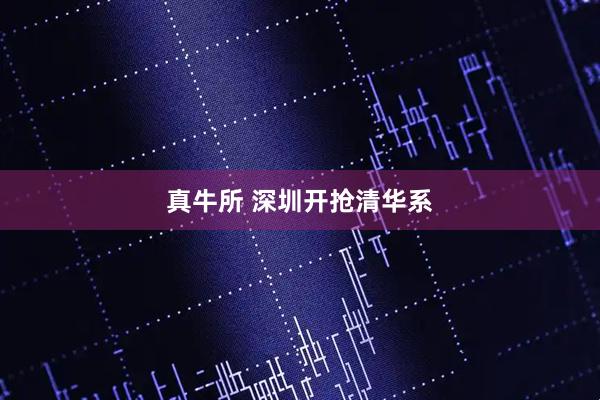 真牛所 深圳开抢清华系